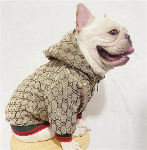 gucci dog dresses|Gucci dog clothes wholesale.